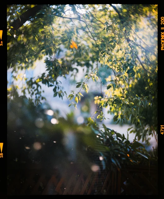 Bausch & Lomb B&L SuperCinephor 5in.(120mm) f2.0